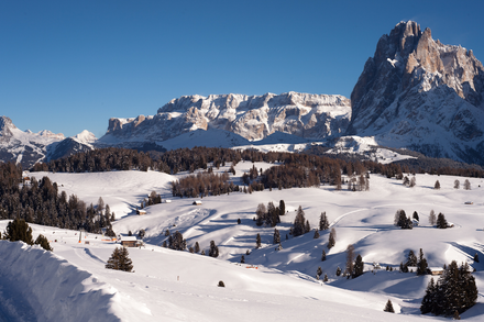 Una gita sull'alpe di Siusi - Bertazzoni